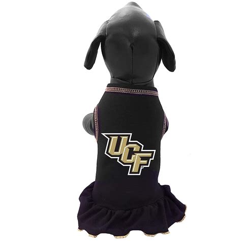 NCAA Central Florida Golden Knights Cheerleader Dog Dress, XX-Small ...