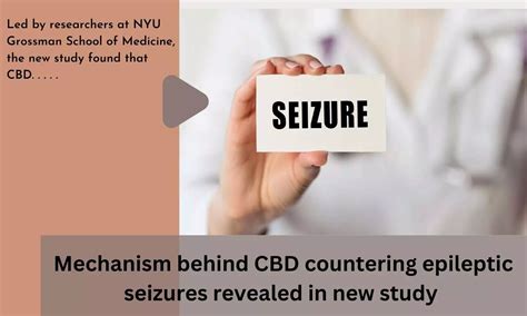 Mechanism behind CBD countering epileptic seizures revealed in new study
