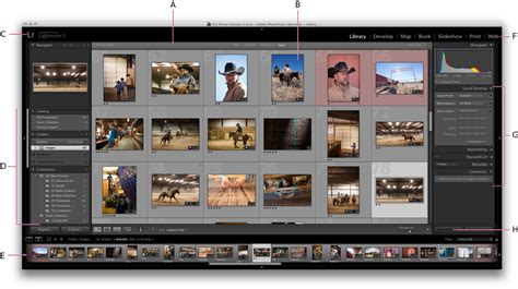 Image result for Lightroom Classic Advanced Tutorial
