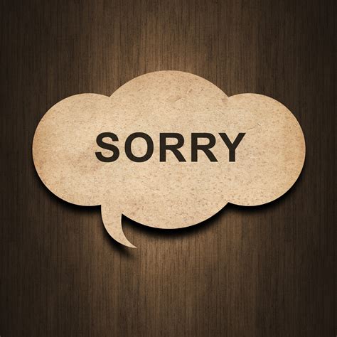 How To Say I M Sorry For Everything In Spanish at Virginia Corns blog