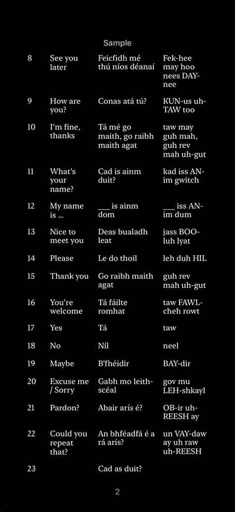 Learn Irish Gaelic: English to Irish Gaeilge Words and 1,001 Phrases ...