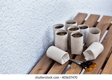 Image result for Paper Reusing