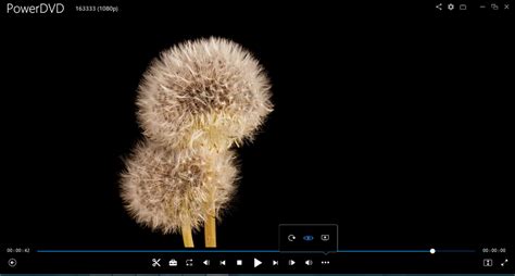 Image result for MS-DOS Video Player