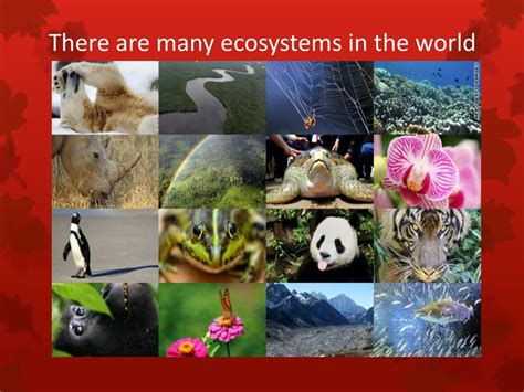 Life 的图像结果