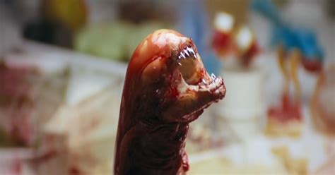 Image result for Alien Chestburster