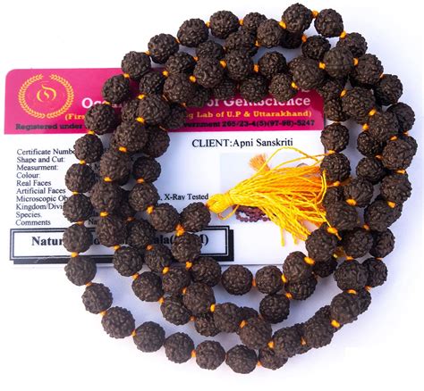 Apnisanskriti Black Rudraksha Mala (7 mm, Full Length, 108+1 Beads, Lab ...