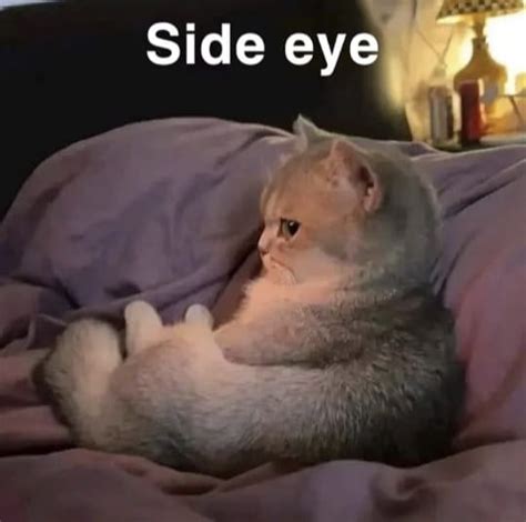 Image result for Repo Side Eye