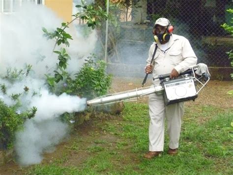 San Miguelito, Colón y área Metropolitana registran casos graves de dengue
