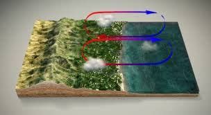 Solids, Liquids and Gases - 2 Class 5 Worksheet Science