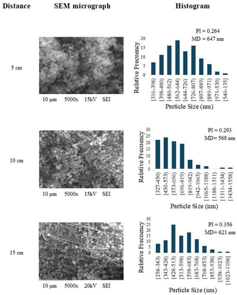 Foods | Special Issue : Enhancing Shelf Life of Food Products ...
