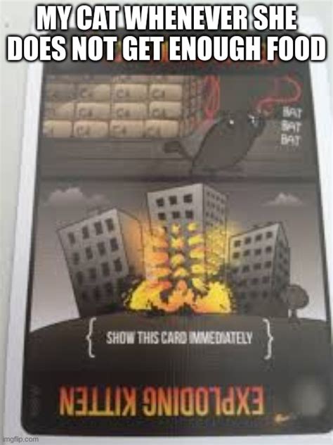 Cute Things Exploding Cat 的图像结果