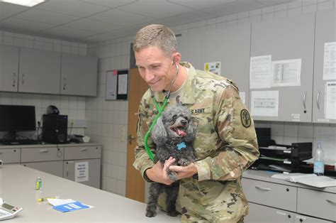 Veterinary Medical Center Europe to offer appointments first Saturday ...