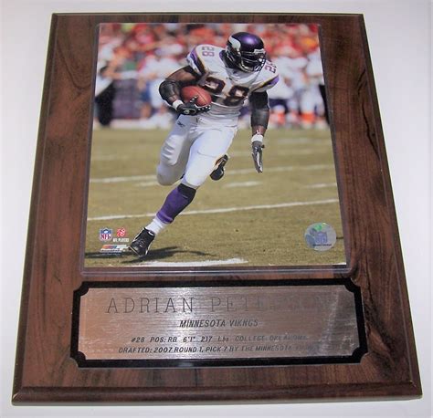 Adrian Peterson College Stats