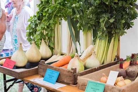 Brailes Show 2025, Brailes Village Hall, Banbury, 9 August 2025 | AllEvents