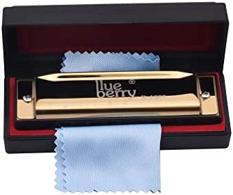 Blueberry R-1003 Key of C 10 Holes 20 Tones Blues Harp Diatonic Gold ...