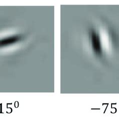 Image result for Complex Filter Is Not Complex