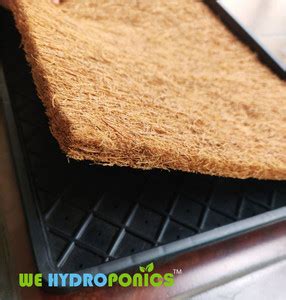 WE Hydroponics Microgreens Tray with Microgreens Coco Grow Mat Plant ...