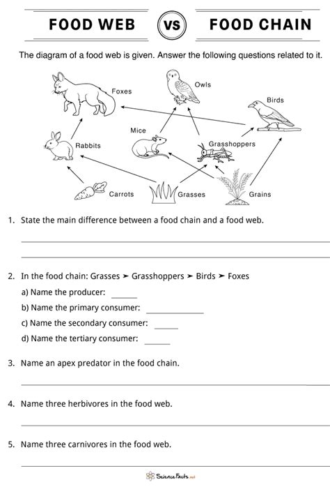 Image result for Food Web Questions