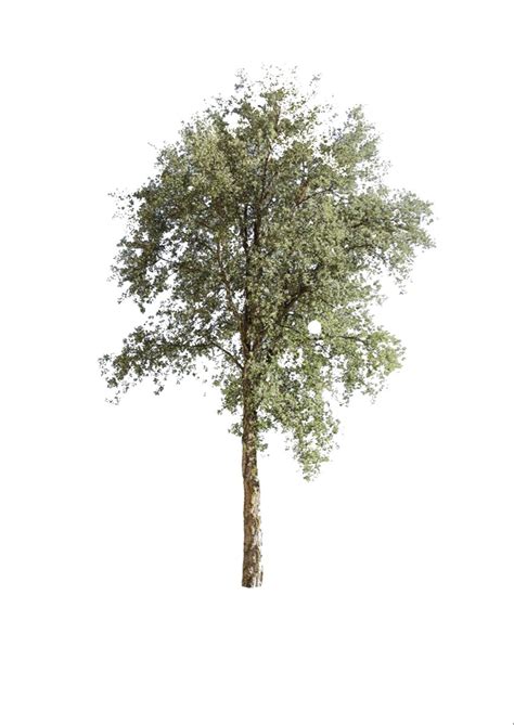 Image result for Geometry Dash Modern Tree