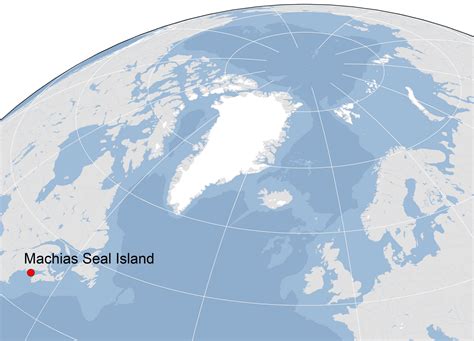 Machias Seal Island - SEATRACK