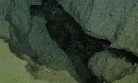Scientists found strange modern structures on the Arctic seafloor that ...