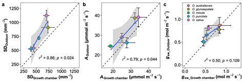 Stomatal Ratio Showing No Response to Light Intensity in Oryza