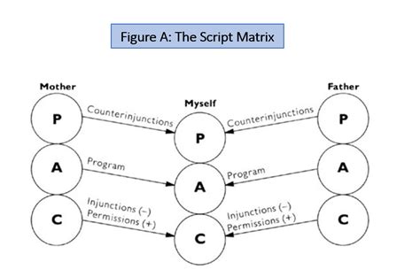 From Injunctions to Inner Transformation: My Personal Journey - Navgati