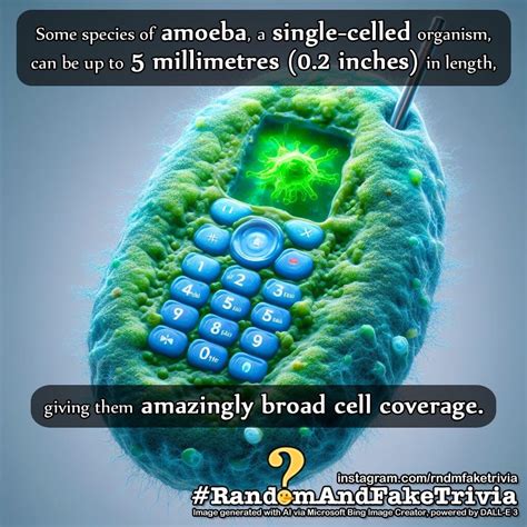 Bing Iamge Creator 的图像结果