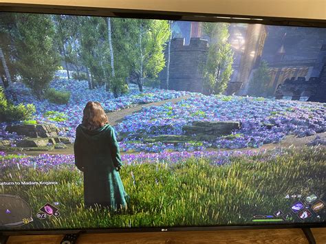 Image result for Graphical Error