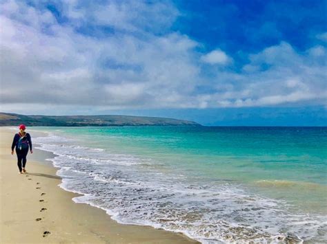 SANTA ROSA ISLAND CAMPGROUND (Channel Islands National Park ...
