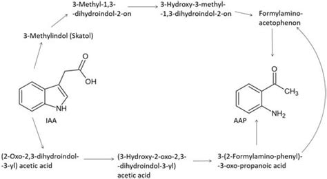 Wine Faults: State of Knowledge in Reductive Aromas, Oxidation and ...