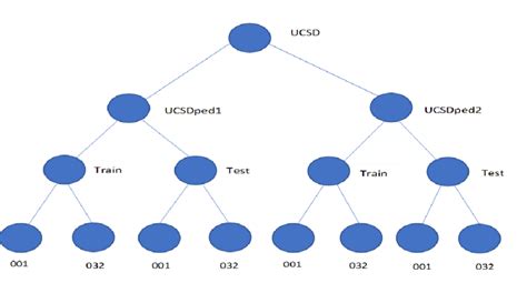 Dataset Example 的图像结果