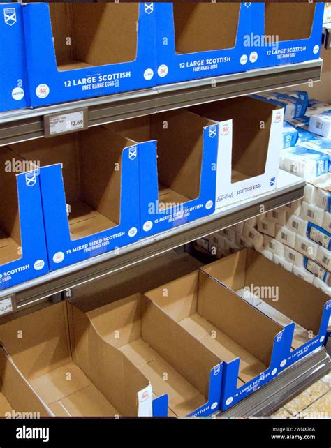 Aldi egg boxes hi-res stock photography and images - Alamy