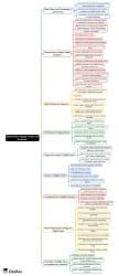 Mind Map: State Policy Digital Divide and Inclusion - Crash Course for ...