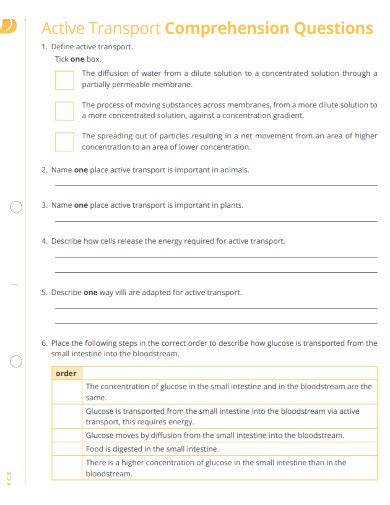 Image result for Active Transport Video Example