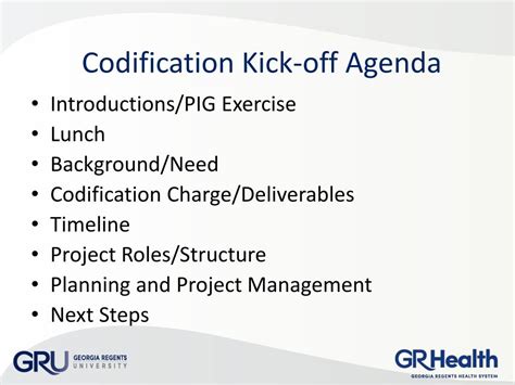 Codification Process 的图像结果