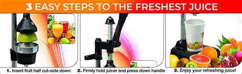 BTC INDIA HPJ Aluminum Hand Press Juicer