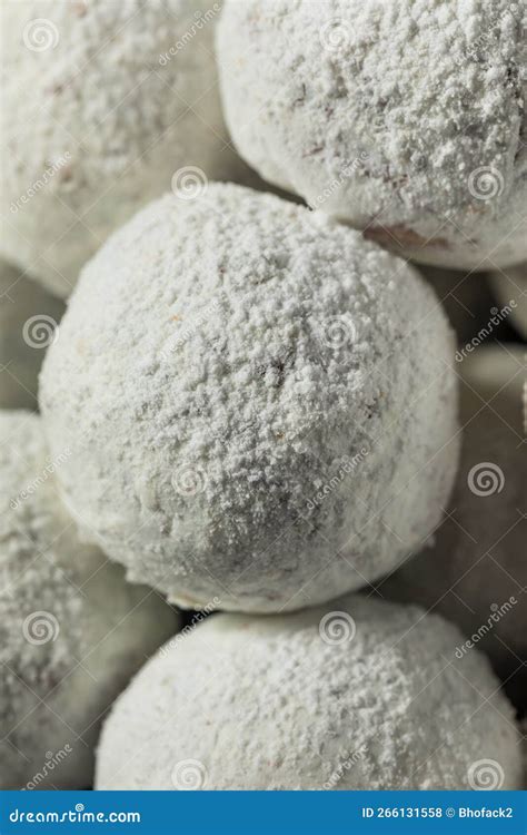 Homemade Sweet Powdered Donut Holes Stock Photo - Image of snack, fresh ...