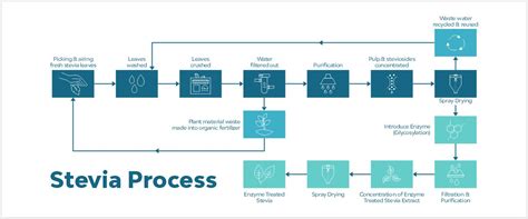 Image result for Stevia Process