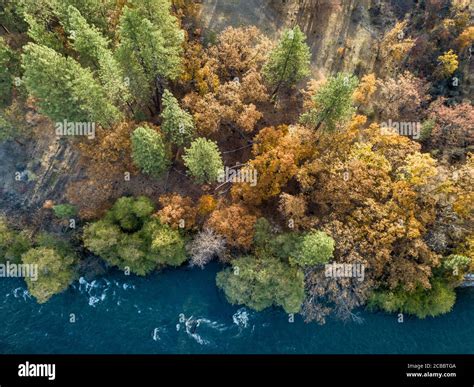 River Side - Colorful autumn trees enjoy a cool drink by the Pit River ...