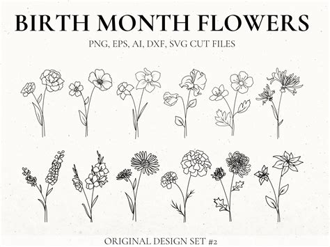 July Birth Flower Outline at Eileen Towner blog