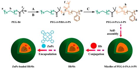 Photo-Based Nanomedicines Using Polymeric Systems in the Field of ...
