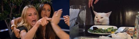 Woman Screaming At Cat Meme Template