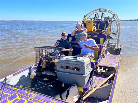 Image result for Everglades Python Hunting