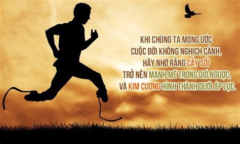 Image result for Complete RoadMap for Python