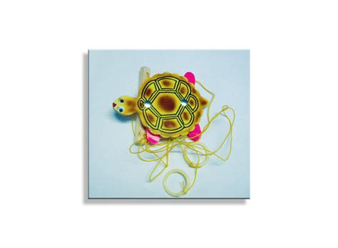 Climbing Tortoise in two strings for fun and exercise – J. Dutta & Co.