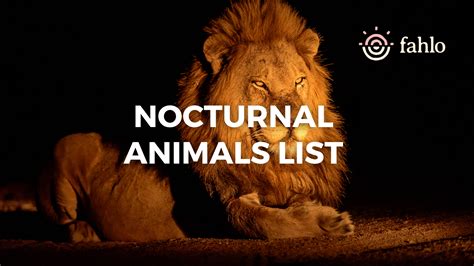 Nocturnal Animals List: Discover 15 Amazing Night Animals | Fahlo