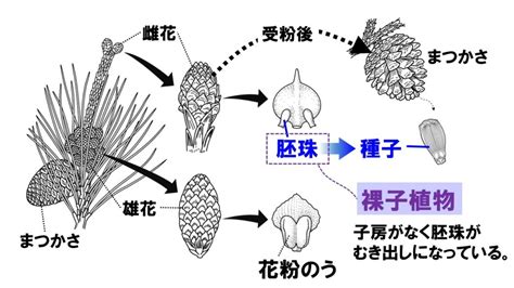 Image result for Alien Letter D
