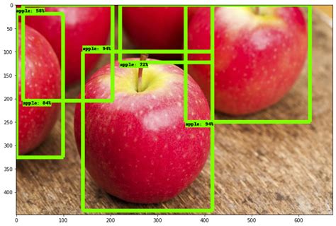 Implement a Frcnn Algorithm for Object Detection 的图像结果