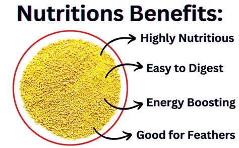 Buy Pets Pro Food for Hen Duck Chicks Teetar Batair Feed 1Kg Teetar ...